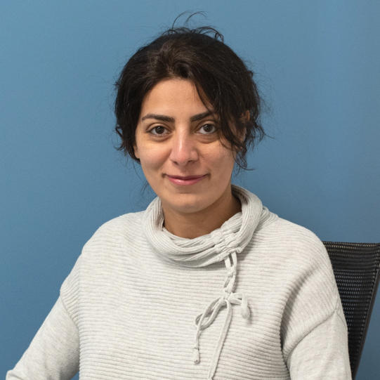 Photo of Dr. Hanieh Farsibaf