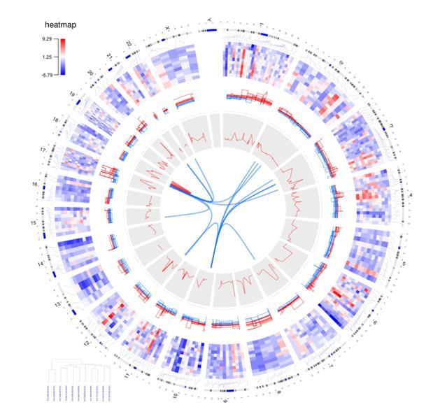 Circular image produced using OmicCircos