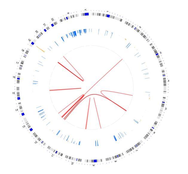 Circular image produced using OmicCircos