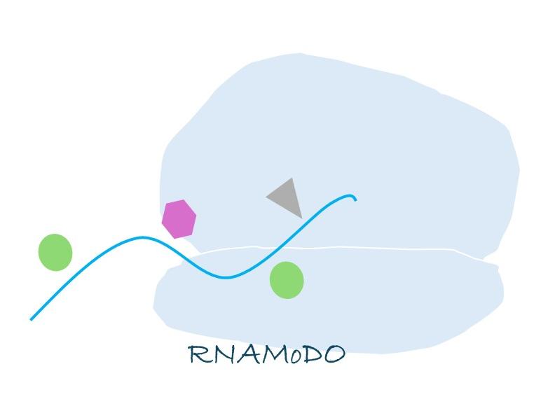 Image of a line with symbols to represent RNA with modifications connected to a ribosome above "RNAMoDO"