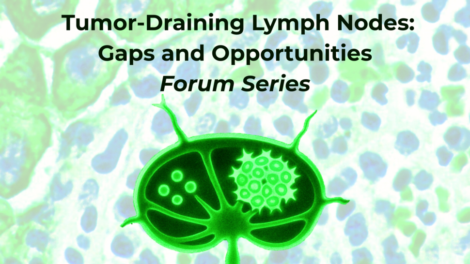 Illustration of a green and black tumor-draining lymph node over a histological image of a lymph node. The image is below the following text: "Tumor-Draining Lymph Nodes: Gaps and Opportunities Forum Series 