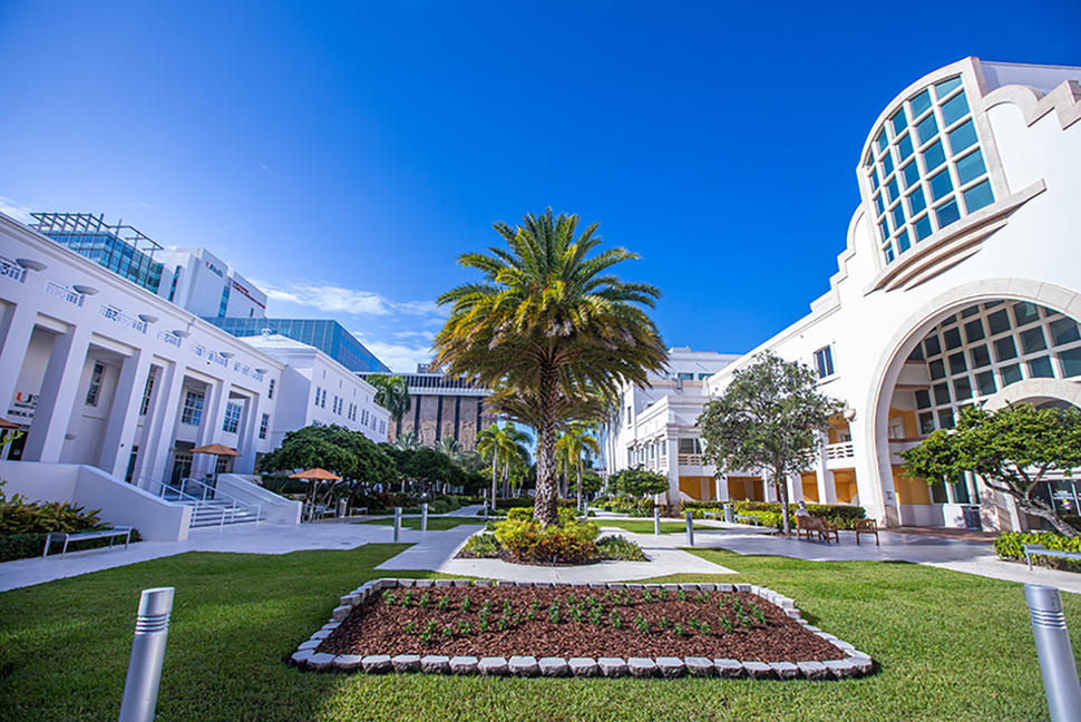 Sylvester - Miami Cancer Center