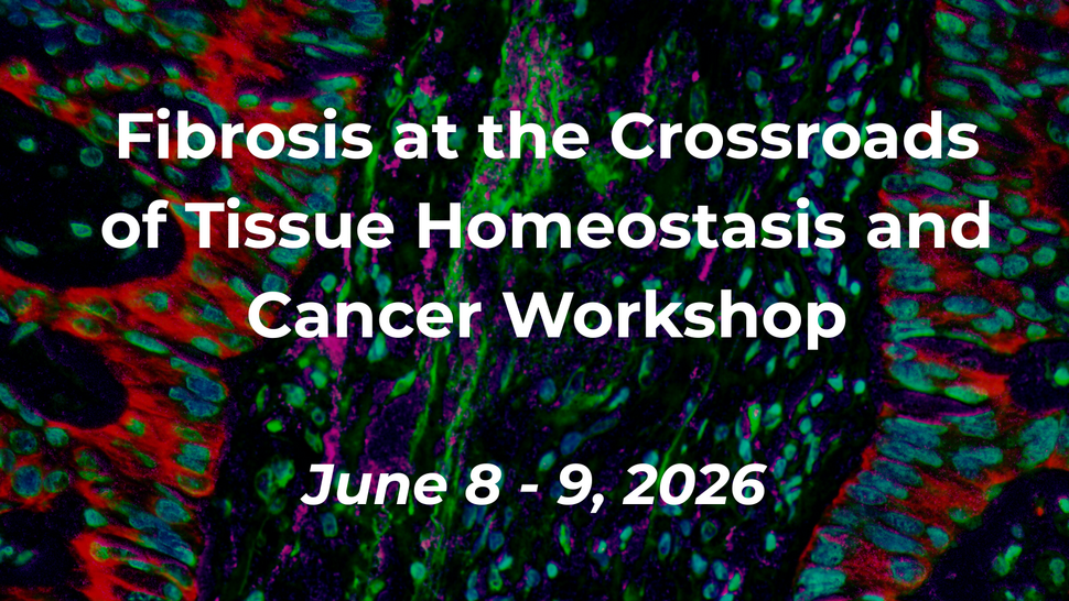 Fibrosis at the Crossroad of Tissue Homeostasis and Cancer Workshop image with a background of an immunofluorescent image of lung desmoplasia
