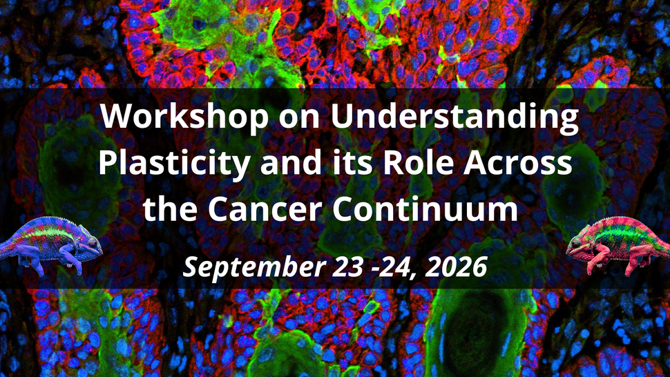 Workshop on Understanding Plasticity and its Role Across the Cancer Continuum image with an immunofluorescent image of skin cancer cells--squamous cell carcinoma, a blue chameleon (left), and a red chameleon (right)