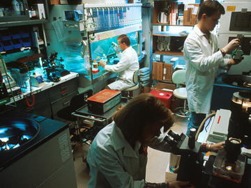 Three scientists working a laboratory