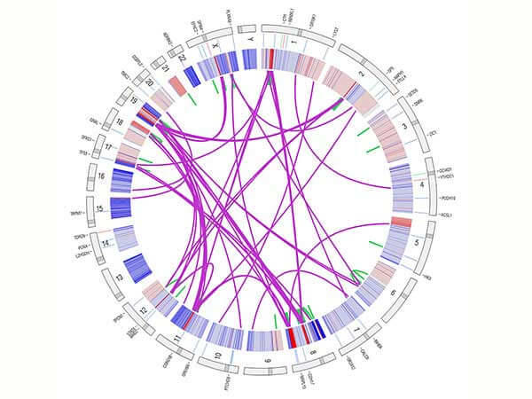 Circos plot of genomic data