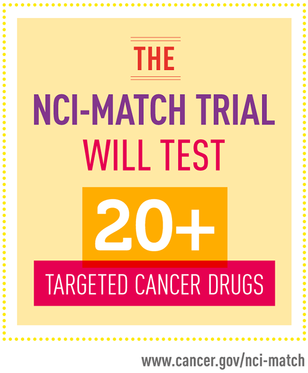 Infographic with yellow background and dotted border stating that the NCI-MATCH trial will test 20+ targeted cancer drugs