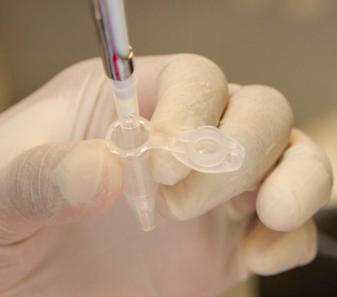 A pipette with fluid sits inside a sample receptacle held by a gloved hand.