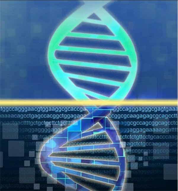 A double helix illustration. On top, the helix is blue and green on a flat blue background; on bottom, the helix has lines within its silhouette, the letters ACGT repeat in the background in different configurations, and the background also has squares of different sizes.