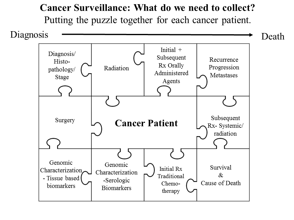 A puzzle diagram titled “Cancer Surveillance: What do we need to collect”? In the center, a piece is labeled “Cancer Patient”; the other puzzles are various types of treatments.