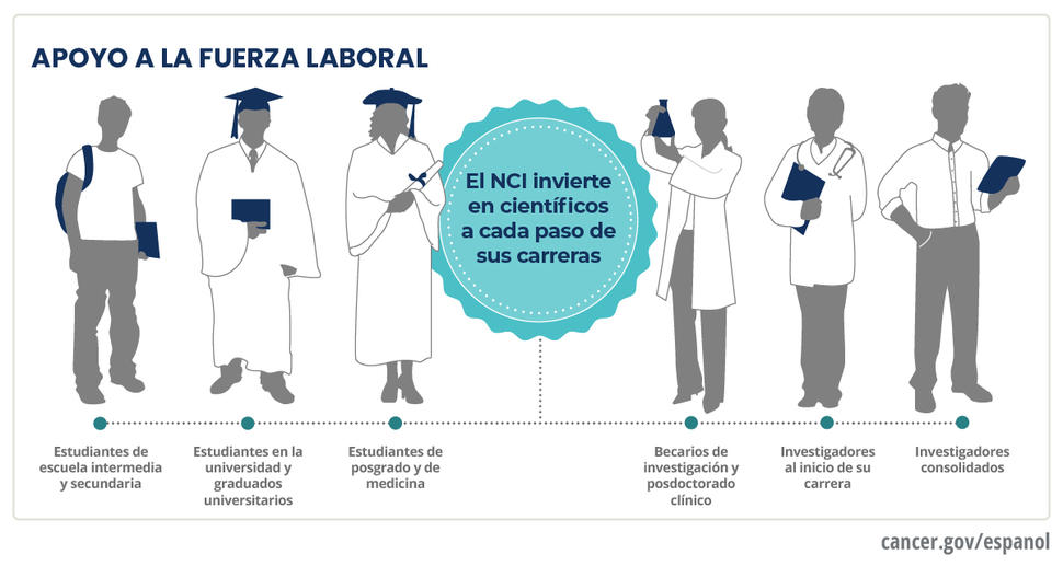 El Instituto Nacional del Cáncer (NCI) invierte en científicos a cada paso de su carrera: estudiantes de escuela intermedia y secundaria, estudiantes en la universidad y graduados, estudiantes de posgrado y de medicina, becarios de investigación y posdoctorado clínico, investigadores al inicio de su carrera e investigadores consolidados.