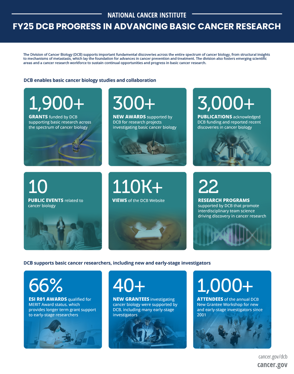 The FY25 Division of Cancer Biology (DCB) Progress in Advancing Basic Cancer Research infographic shows that DCB enables basic cancer biology studies and collaboration and supports basic cancer researchers, including new and early-stage investigators (ESIs). It also includes icons showing that DCB supports emerging areas and technological development in cancer biology.