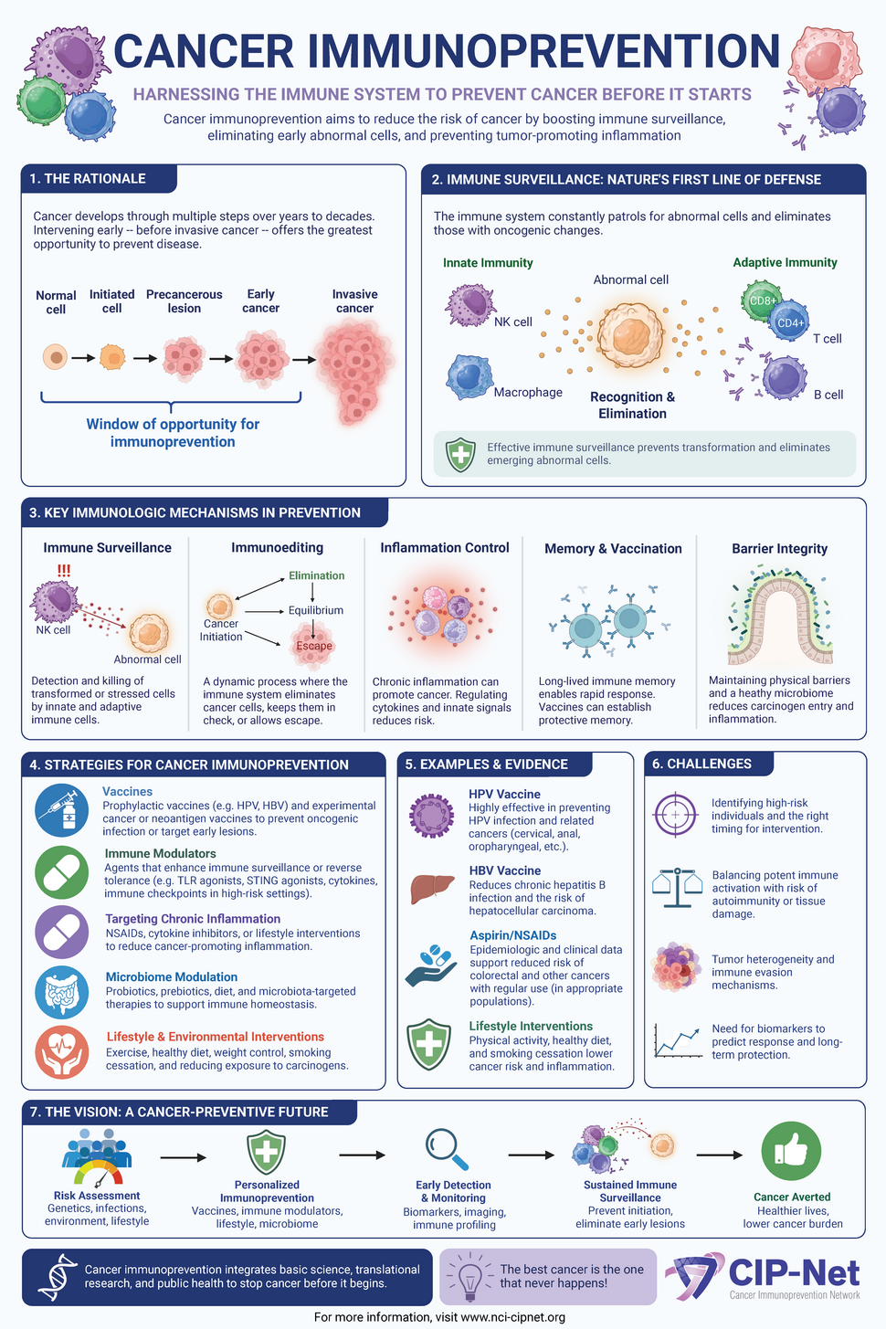 Infographic explaining cancer immunoprevention, including how immune surveillance may prevent cancer development, key immunologic mechanisms, prevention strategies and evidence, current challenges, and a pathway toward personalized cancer prevention.
