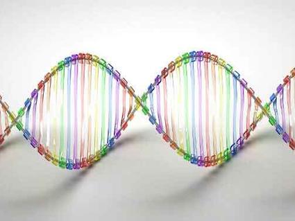 Multi-colored model of DNA helix