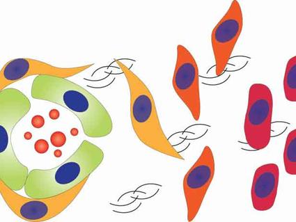 Diagram illustrating tumor cell progression from a primary site (left) through migration (center) to distant metastasis (right), representing the formation of a pre-metastatic niche.