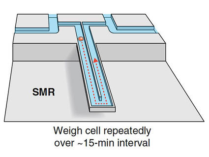 Image of a suspended microchannel resonator.