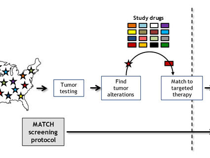 A Schematic Diagram of the Pediatric MATCH Trial