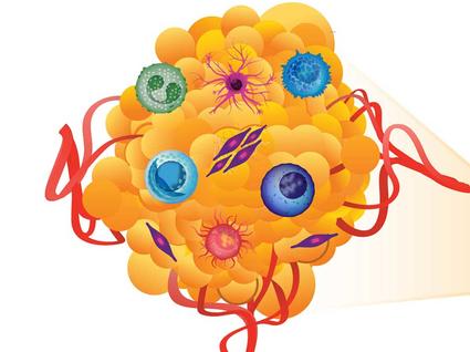 A tumor (yellow) is shown in the background. Components within the microenvironment are overlaid on the tumor, including a dendritic cell (pink), a T-cell (blue), a fibroblast (purple and pink), a natural killer cell (dark blue), a regulatory t cell (aqua), blood vessels (red), a macrophage cell (red with a yellow center), and a myeloid cell (green)