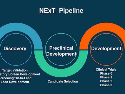 Diagram of NExT pipeline from discovery to preclinical development and development.