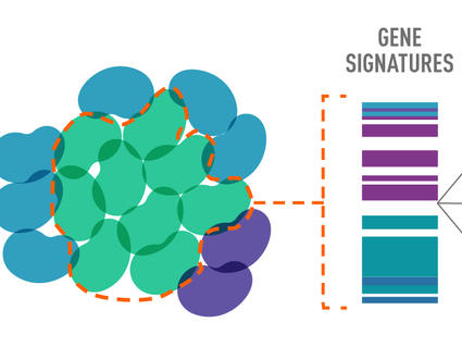 Illustration of resistant cancer cells 