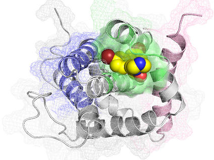 An illustration showing the experimental drug BAI1 binding to the BAX protein.