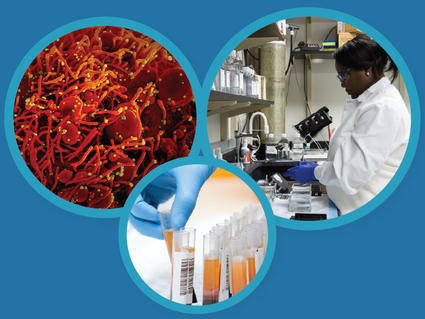 A collage showing a researcher, serology testing, and a coronavirus electron micrograph.