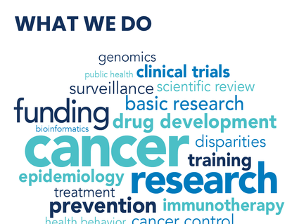 A word cloud with the heading "WHAT WE DO" at the top. The words are in various shades of blue and green, with larger words indicating more emphasis. Prominent words include "cancer," "research," "funding," "prevention," "clinical trials," "basic research," "drug development," "immunotherapy," and "grants."