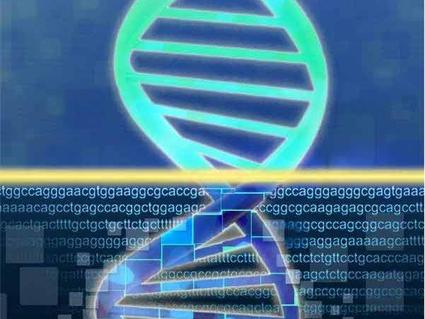 A double helix illustration. On top, the helix is blue and green on a flat blue background; on bottom, the helix has lines within its silhouette, the letters ACGT repeat in the background in different configurations, and the background also has squares of different sizes.