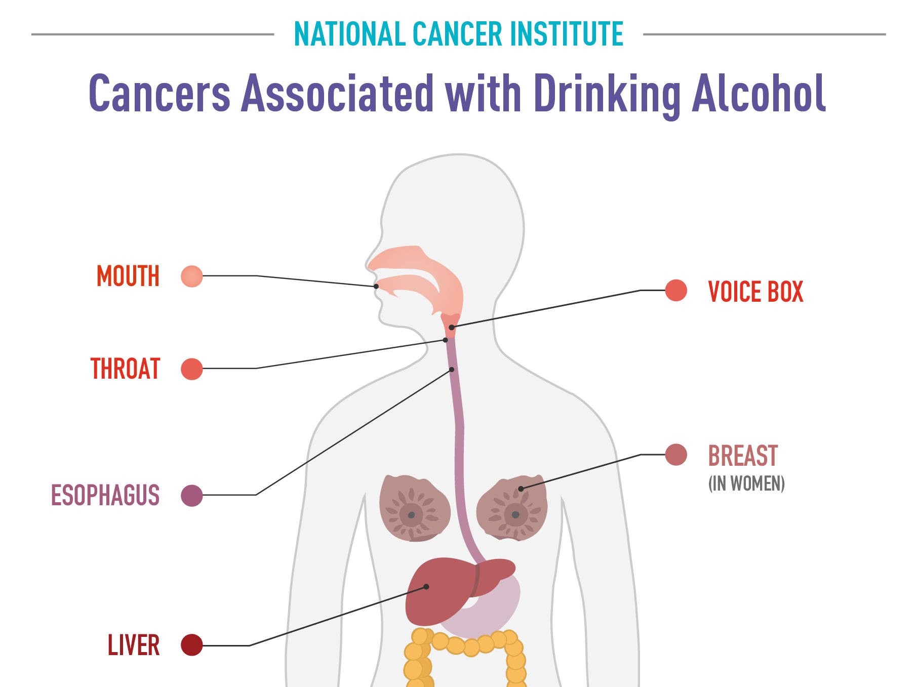 Alcohol and Cancer Risk Fact Sheet