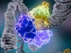 Purple and greenish enzymes surround a grayscale strand of DNA