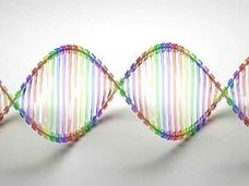 Multi-colored model of DNA helix