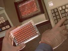 Scientist holding a tray of cell lines in their left hand and pressing buttons on a computer keyboard with their right hand.