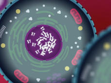 Screenshot from Proteogenomics video