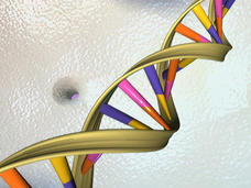 3D illustration of a DNA double helix, showcasing its iconic twisted ladder shape.