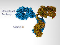 Molecular model showing the size comparison between a monoclonal antibody (large structure) and an aspirin molecule (small structure).