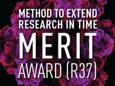 Method to extend research in time Merit Award (R37)