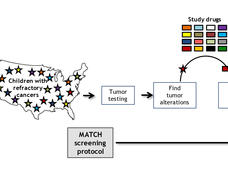 A Schematic Diagram of the Pediatric MATCH Trial