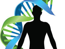 Illustration of a double helix DNA chromosome strand behind a human silhouette