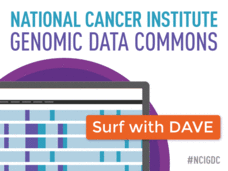 Image featuring the text ‘National Cancer Institute Genomic Data Commons’ and ‘Surf with Dave’.