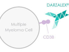 Image of daratumumab attached to CD38 protein. 