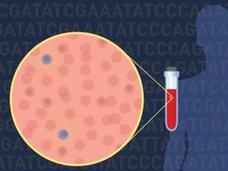 Close up of mylemoa cells inside a test tube next to a human silhouette. 