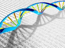 Artistic rendering of a DNA double helix in blue, green and yellow overlaying blurred genetic code text, representing the connection between DNA structure and genetic information.