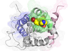 An illustration showing the experimental drug BAI1 binding to the BAX protein.