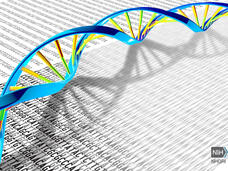 A colorful illustration of a stretch of DNA with strings of T, C, G, and As in the background.
