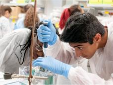 Fellows in a lab using a pipette
