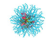 A computer generated image of a nanoparticle micelle. The main section shows clumps of red and yellow against each other, with long light-blue strands emerging from the main cluster.