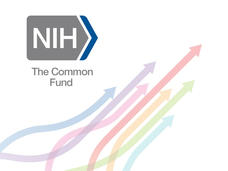 A group of multicolored arrows move diagonally towards the top-right of the image; in the top left is the NIH luggage tag with text reading "The Common Fund" below it.