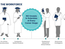 Infographic showing the stages of scientific career development with silhouettes of individuals representing different stages: Middle/High School Students, Pre- & Post-Baccalaureates, Graduate & Medical Students, Postdoctoral Research & Clinical Fellows, Early-Career Investigators, and Established Investigators. In the center, a badge states, "NCI Invests in Scientists at Every Career Stage."