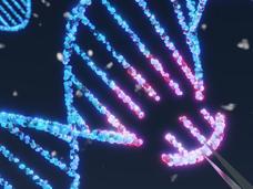 A conceptual image with a small segment of a DNA double helix being removed with tweezers.