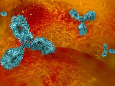 A colorful illustration of Y-shaped antibodies, depicted in a sparkling blue color, among a cancer cell, depicted in a bright-red orange